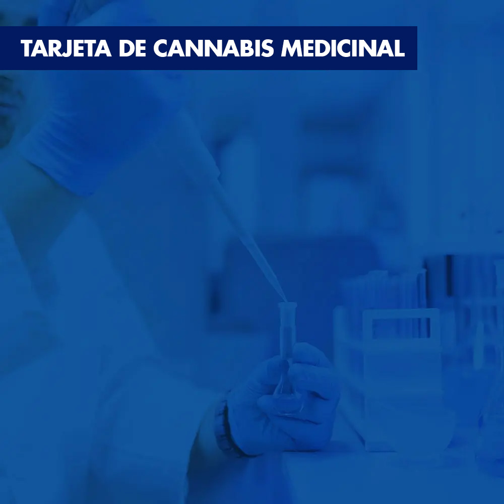 Vidamax tarjeta de Cannabis medicinal